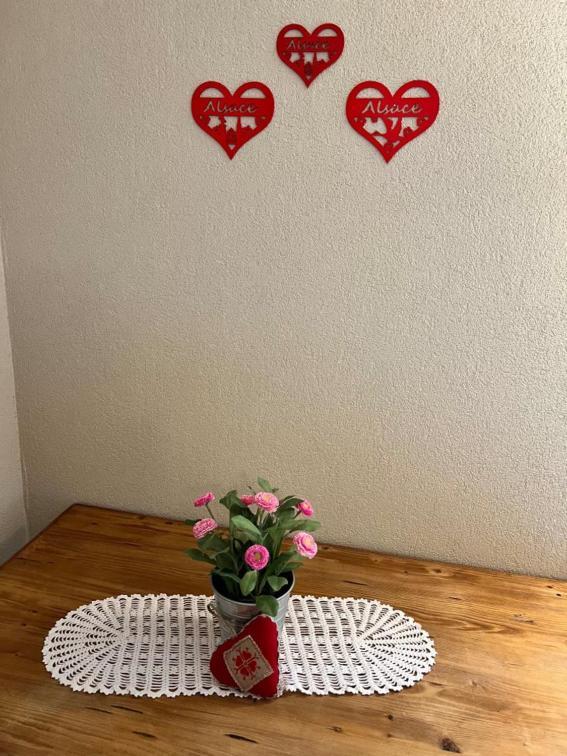 Geranium*** Eguisheim